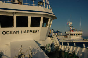 Harvester moves into position alongside Ocean Harvest to buckle up.