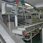 Ocean Harvest’s integrated fish selection and washing system.