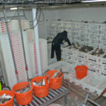Boxes steadily accumulated in the fishroom during the first 24 hours of successful fishing.