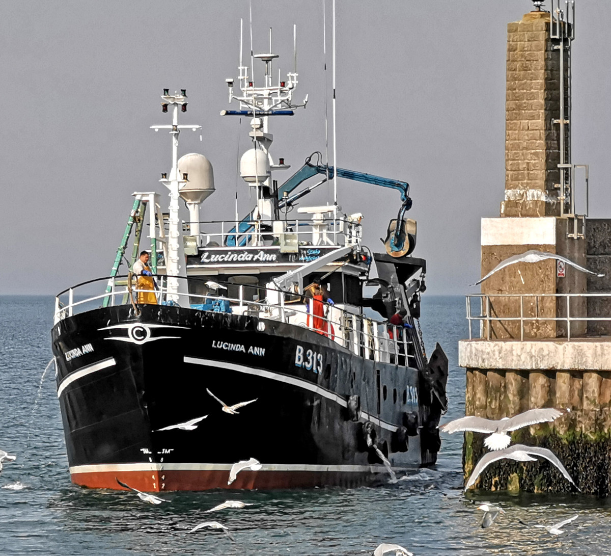 Lucinda Ann returning to Portavogie after a trip at the prawns. (William Cully)