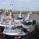Bridlington has a fleet of modern shellfish boats fishing for lobster, crabs and whelks.