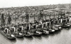 Trawlers tied up in Hull’s fish dock during a deckhands’ strike in 1935 over a cut in their earnings from liver oil money.
