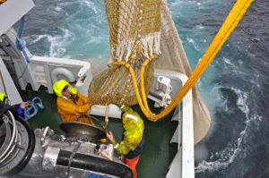 Crewmen on Serene prepare to attach the tailend to the inlet of the Karm fish pump.