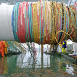 … are hauled onto the lower net drum.