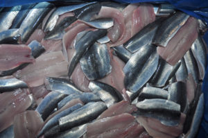 The finished product – filleted Mourne herring, processed for export by Kilkeel Kippering Company within hours of being caught.