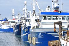 Fisheries management shake-up in Scotland See pages 2 and 8a