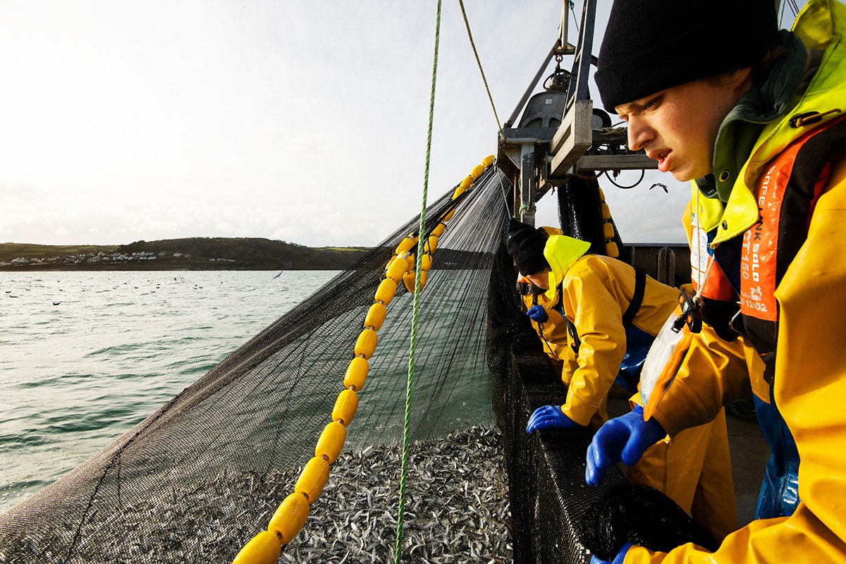 Sustainable SW Fisheries Celebrated On World Ocean Day By MSC | Fishing ...