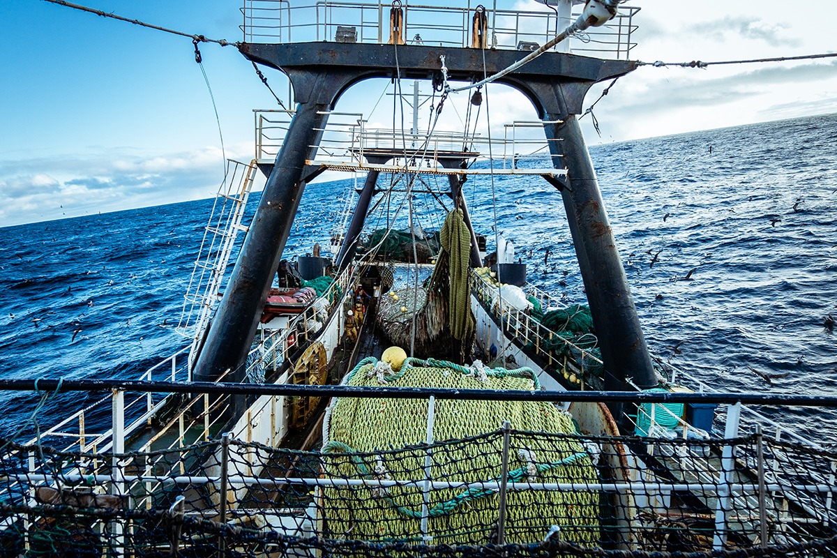 Scientists reveal how trawling the bottom of the ocean could