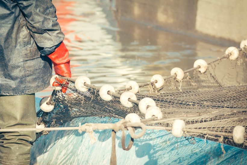 New call for applications to UK Seafood Innovation Fund