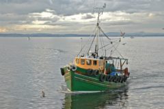 Greens call for Scottish three-mile trawl ban