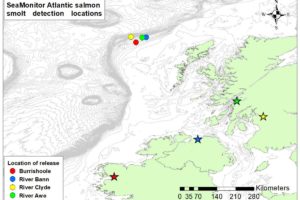 SeaMonitor Atlantic salmon smolt release and detection locations.