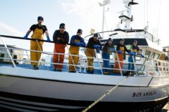 Scottish haddock and Cornish sardines star in MSC sustainability campaign