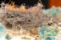 New study implicates ropes in microplastic pollution