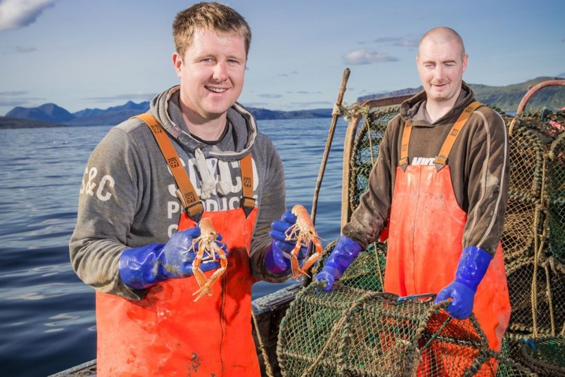 Working group sets out improvements for Scots Nephrops sector