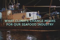 Seafish launches climate change campaign