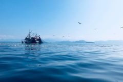 Threat of bottom trawl ban in 13 MPAs