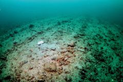 COP26: Bottom trawling and the climate crisis