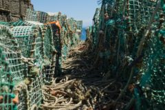 CEFAS auctions off surplus fishing gear