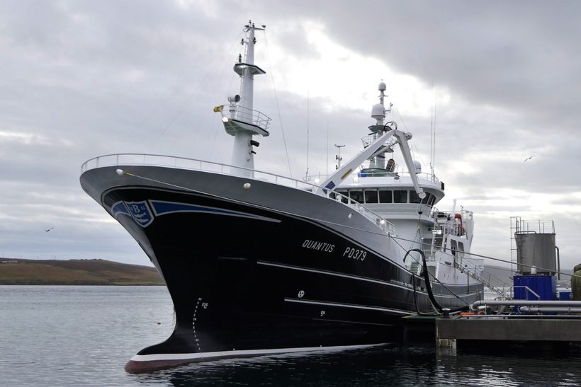 COP26: Scottish mackerel and herring: Climate-smart food