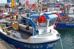Personal service companies: Tax implications for fishermen