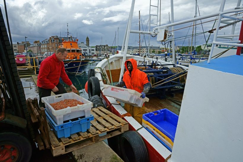 Scots Nephrops report nets government support