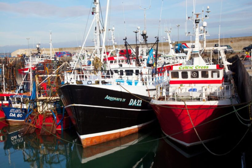 National Seafood Survey moves online
