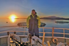 Work proceeds apace to support Nephrops recovery