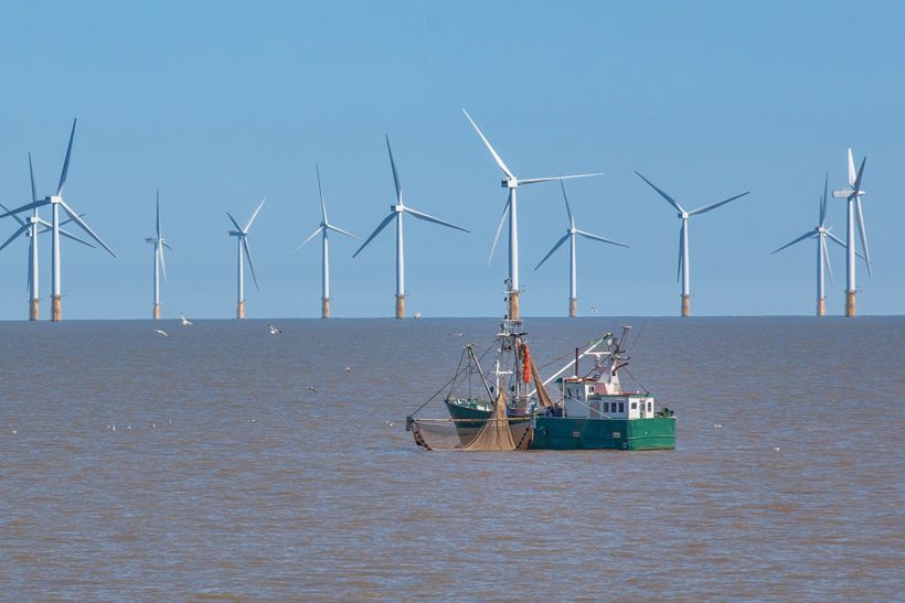ScotWind confirms 17 new offshore wind developments