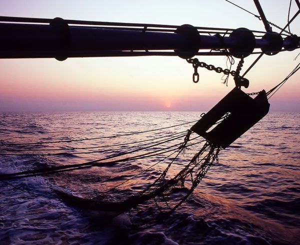 Europêche slams NGO calls for bottom-trawling ban