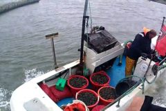 Poole fisherman fined over £16,000