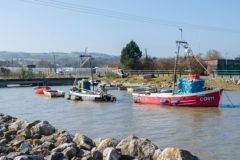 Consultation launched on Welsh cockle fishery