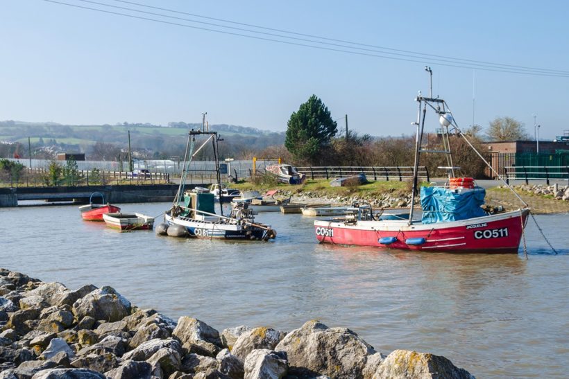 Consultation launched on Welsh cockle fishery