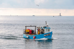 Devon fishermen sought for survey