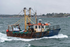 More restrictions looming for under-15m scallop fleet