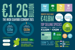 Irish seafood economy grows to €1.26bn record value