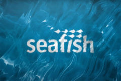Seafish Review