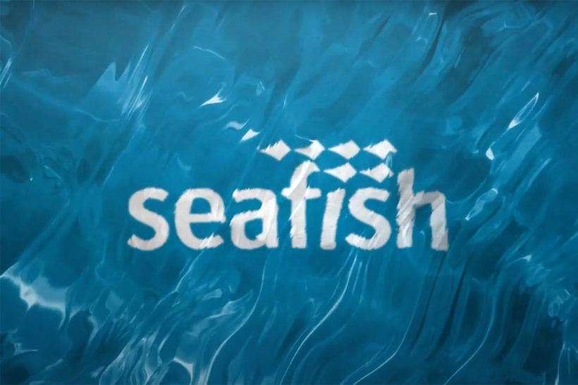 Seafish review: ‘Seal of approval’ and ‘strong steer’ on priorities