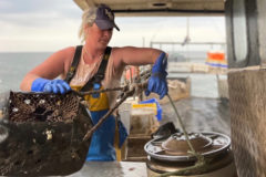 Fishing News: The job title is ‘fisherman’