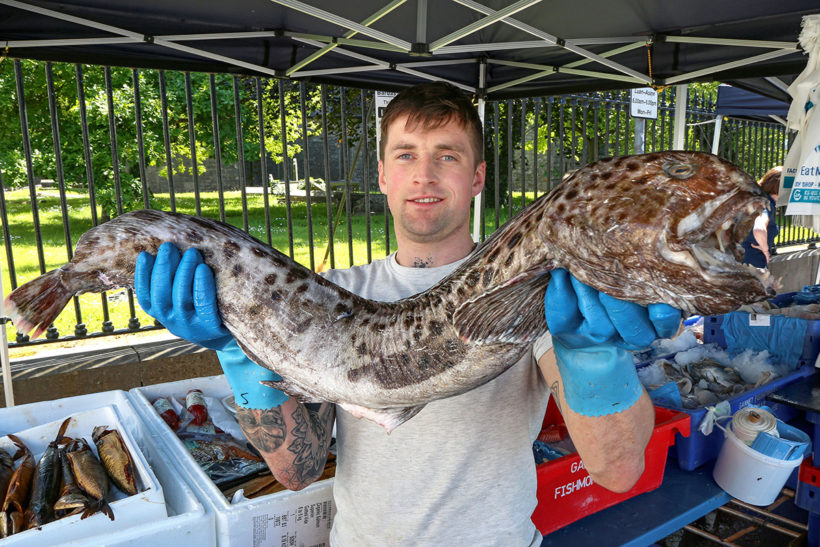 Rare leopard fish landed in Donegal