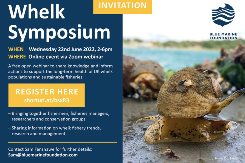 Whelk symposium seeks fishers’ views