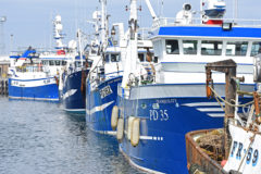 ICES recommends 44% TAC increase for cod, as scientists confirm ‘record’ haddock year-classes