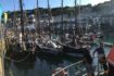 Sea Salts and Sail at Mousehole Festival