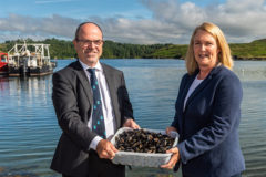SFPA publishes Irish shellfish classifications