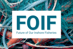 Future of Our Inshore Fisheries: three years on