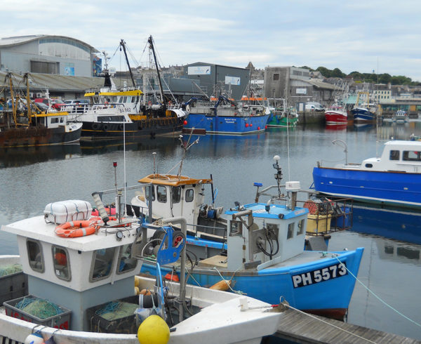 ‘Talk to us’: Plymouth fishers seek solutions on harbour plans
