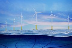 Call for study on marine impacts of floating wind
