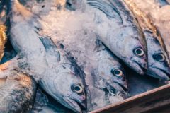 Record budget for Irish seafood sector – but no fuel aid