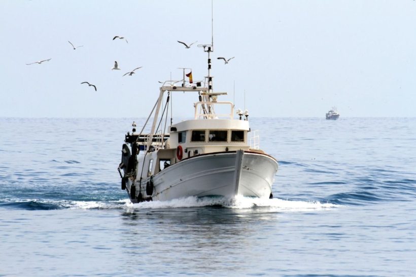 Time to protect fishing grounds, MPs told