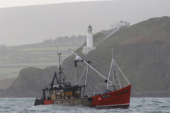 Quiet start for Manx scallop fishery