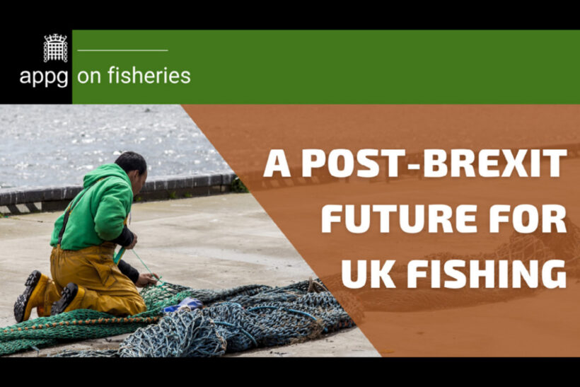 APPG launches video on UK fisheries’ ‘post-Brexit future’